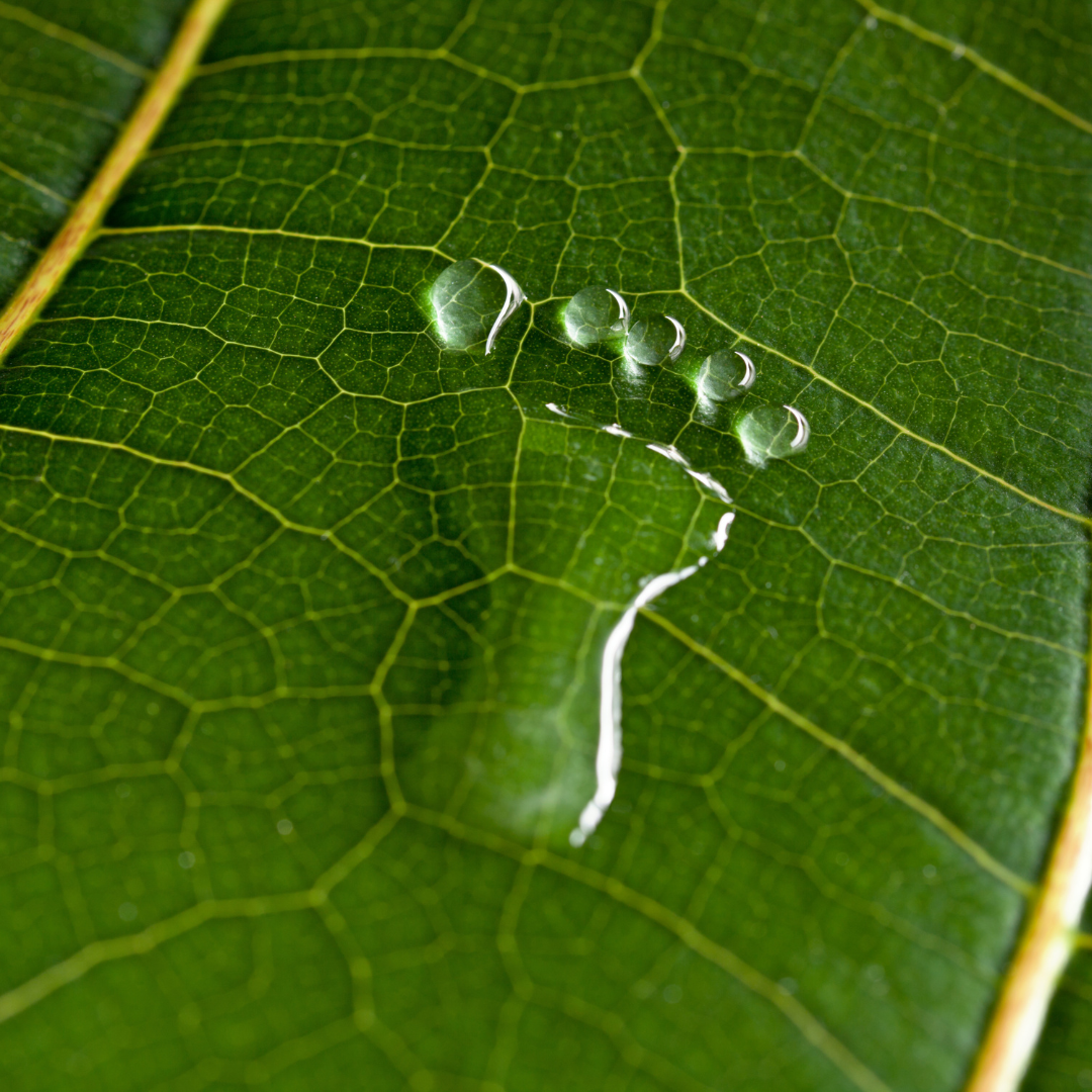 Já tenho meu inventário